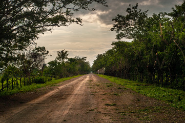 Fototapeta na wymiar ruta panamericana, colombia