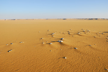 Sahara Desert scenery. Egypt