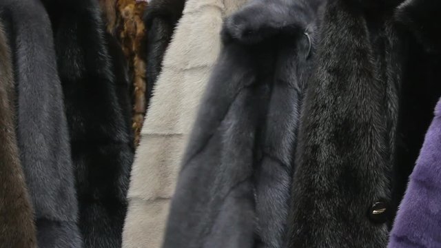 Footage of mink pelts