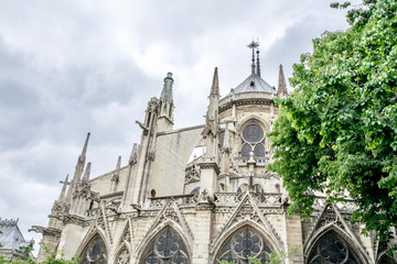 Obraz premium Notre dame de Paris