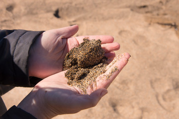 Handful of Colorful Sand - Skardsvik Beach