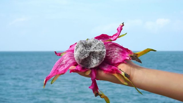 Woman hand holds dragon fruit, ocean background