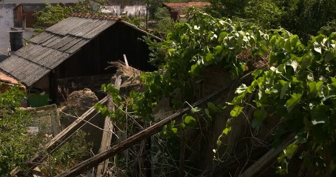 Wind and abandoned house