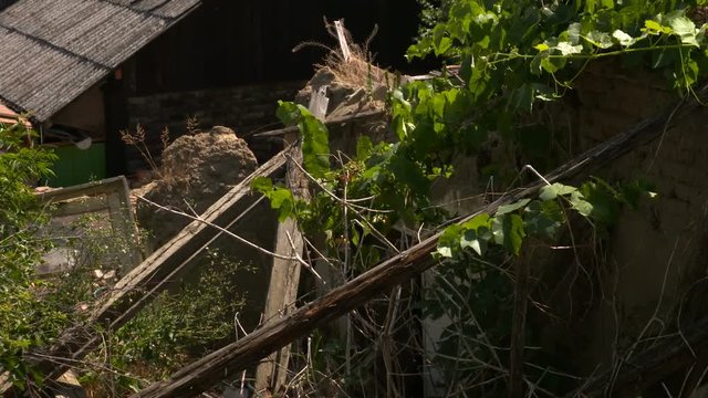 Distroyed wall of an old house