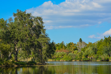 Fototapeta premium Beautiful view at Lake Seminole, Seminole, Florida