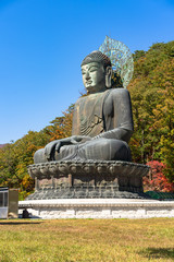 Big Statue of Shakyamonyi