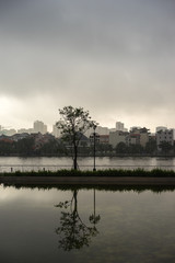 lonely tree reflection 