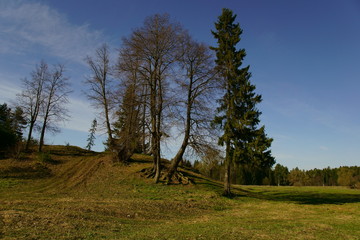 Весенний пейзаж