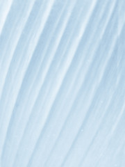 Obraz premium abstract background 