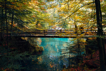 Autumn time at romantic forest lake Blausee, Switzerland.
