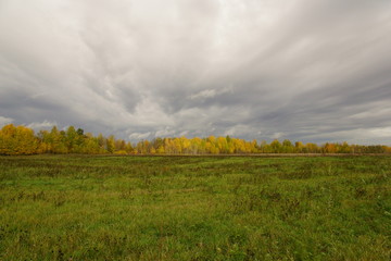 Осенний пейзаж