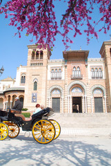 Fototapeta premium MUSEO ARQUEOLÓGICO DE ARTES Y COSTUMBRES DE SEVILLA