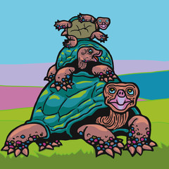 ガラパゴスの生きもの，ドーム型ゾウガメ家族篇02。