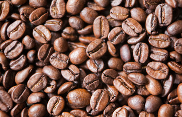 graines de café plein cadre