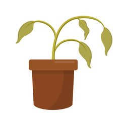 Tote Pflanze vertrocknet Flat Design Icon isoliert auf weißem Hintergrund