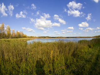 Naklejka premium road in woods while spring to autumn transition with beautiful orange and red tones 