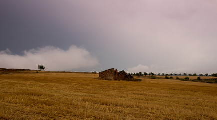 Fototapeta premium paisaje natural con cielo