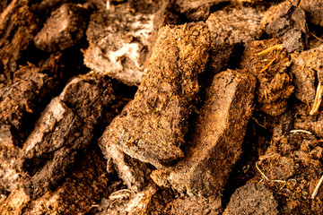 peat, closeup of a stock