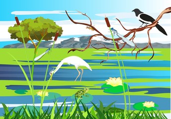 White  heron, magpie on the tree brunch  lake, gragonflies, wetland landscape, vector wildlife