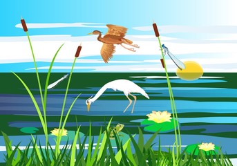 White and red  heron flying above the lake, gragonflies, wetland landscape, vector wildlife