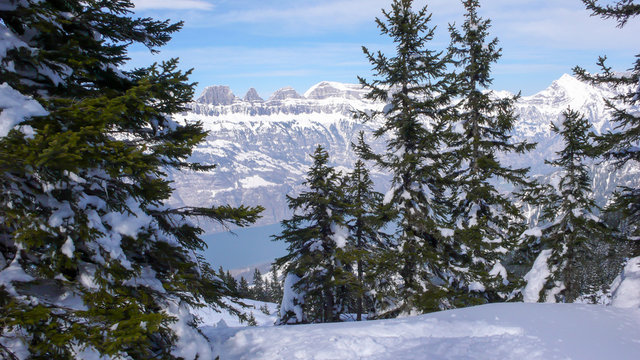 picturesque deep winter mountain landscape in the Alps of Switzerland near Flums with turquoise Lake Walen  below and forest in the foreground