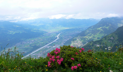 idyllic mountain landscape in the springtime with a great view of the Rhine and Rhine Valley and purple flowers in the foreground