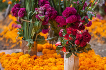 panteon dia de muertos tumbas con flores cempasúchil méxico