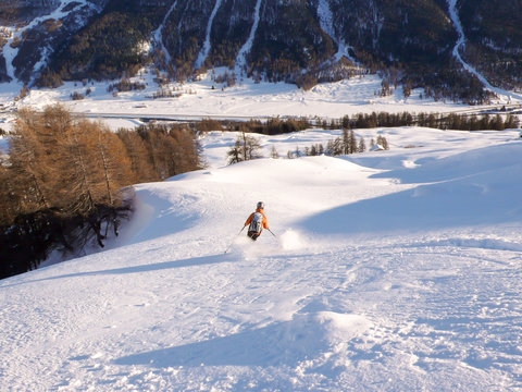backcountry skier in fresh powder skiing to the valley bottom through forest in the winter in the Swiss Alps