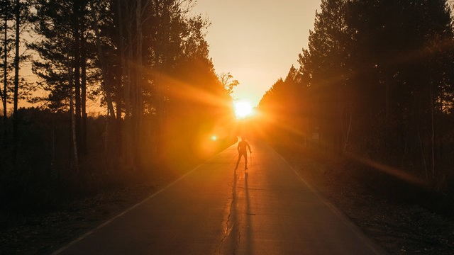 Training an athlete on the roller skaters. Biathlon ride on the roller skis with ski poles, in the helmet. Beautiful sunset silhouette. Autumn workout. Roller sport. Adult man riding on skates.