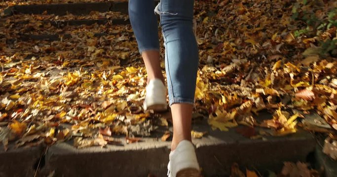 Female runner in an autumn park. Close-up of woman's legs in jogging suit and snickers running on the footsteps covered with fallen leaves in a park