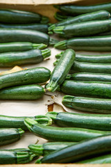 Rows of fresh zucchini at the french city market. Overhead view