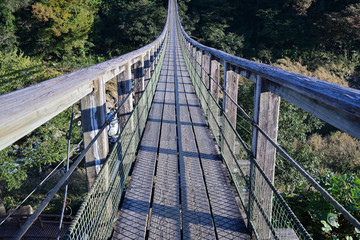 Obraz premium 吊り橋