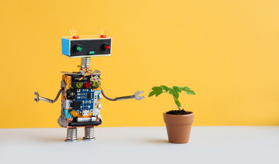 Robot and flowerpot. Creative design robotic character looks at the green plant housepot . Yellow...