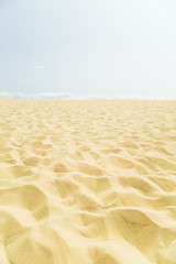 Naklejka na ściany i meble Sand desert at Dune du Pilat, close-up