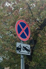 Sing "No stopping or standing" and "car will be evacuated" with autumn tree background.