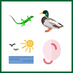 orange icon. balloons and sun vector icons in orange set. Use this illustration for orange works.