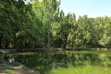 Fototapeta na wymiar Picturesque view of pond on sunny day
