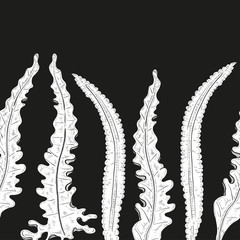 Laminaria. Seaweed. Wallpaper, texture, seamless. White silhouette on black background