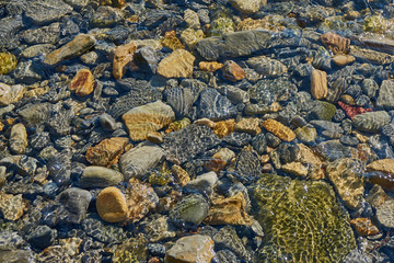 Transparent sea water washes coastal stones overgrown with algae. Stone bottom can be seen through the clear sea surface of water.