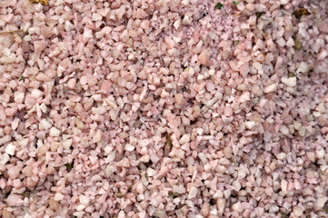 Pink Himalayan Salt