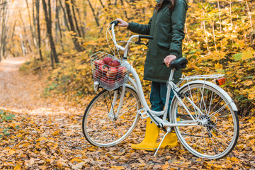 Fototapeta na wymiar partial view of woman in yellow rubber boots standing near bicycle with basket full of apples in autumnal forest
