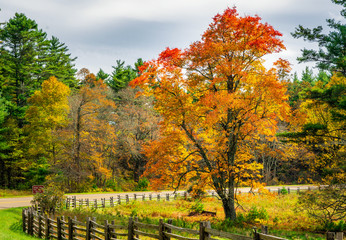 Naklejka premium Afternoon Autumn drive on the Blue Ridge Parkway