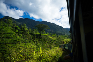 train in the Sri Lanka highlands