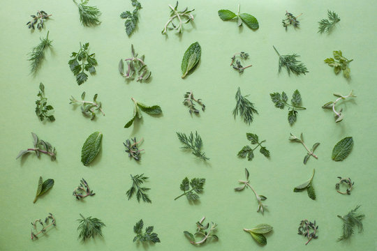 Various leaves of herbs