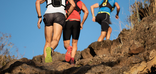 Group of runners in a cross country race, trail running