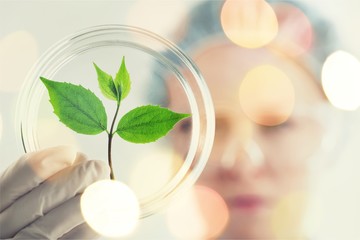 Green Growing Plant in Human Hands