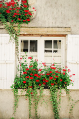 Fototapeta na wymiar Red flowers at the windowsill of traditional old french building with wooden shutters and lattice window