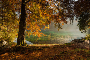 Fototapeta na wymiar Autumn vibrant colors over alpine lake and forest