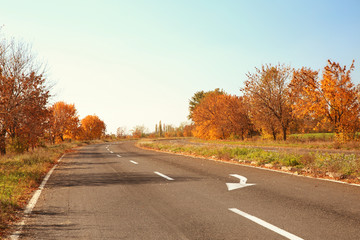 Fototapeta premium Beautiful autumn landscape with trees and dry leaves on road
