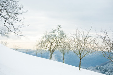 Beautiful winter landscape with snow covered trees and mountains and blue cloudy skies at frosty afternoon in Germany